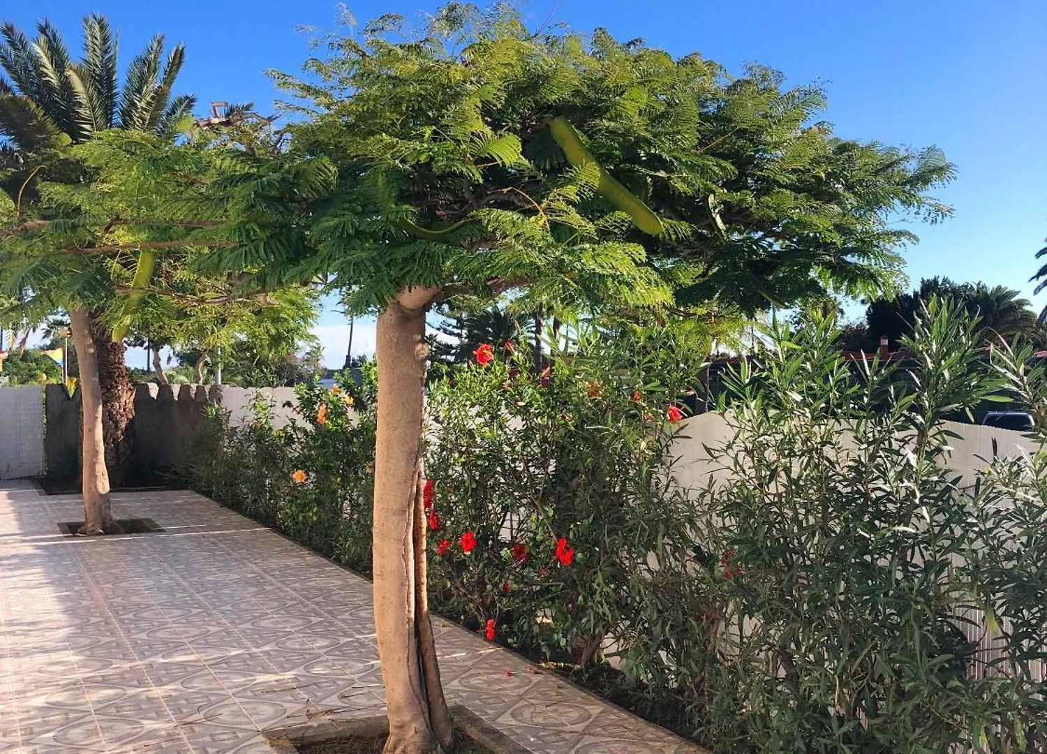 Bungalows Las Almenas ماسبالوماس
