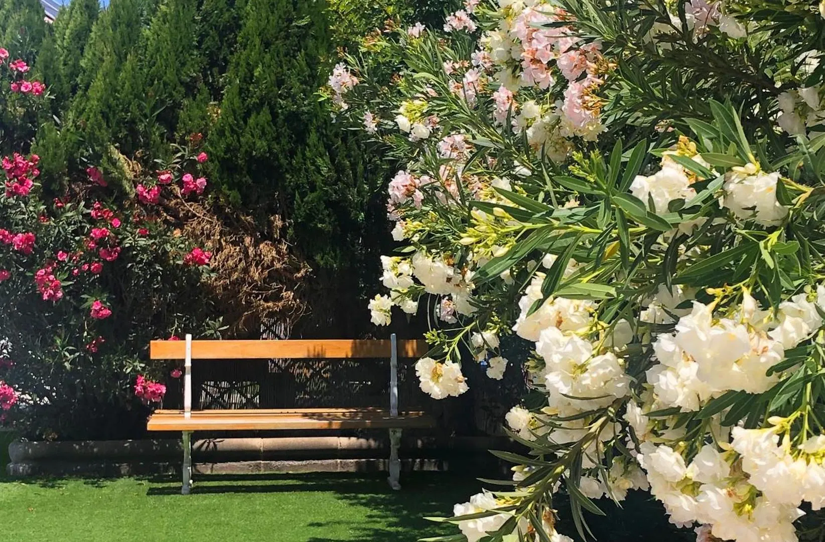 Resort Bungalows Las Almenas Maspalomas