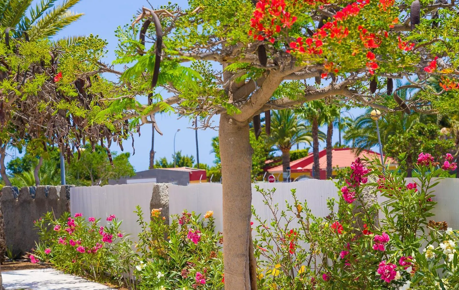 Bungalows Las Almenas Maspalomas  Spain